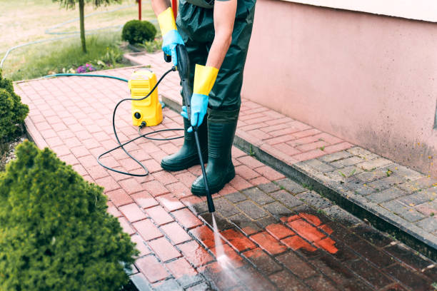 Best Fence Cleaning  in Bertville, AL